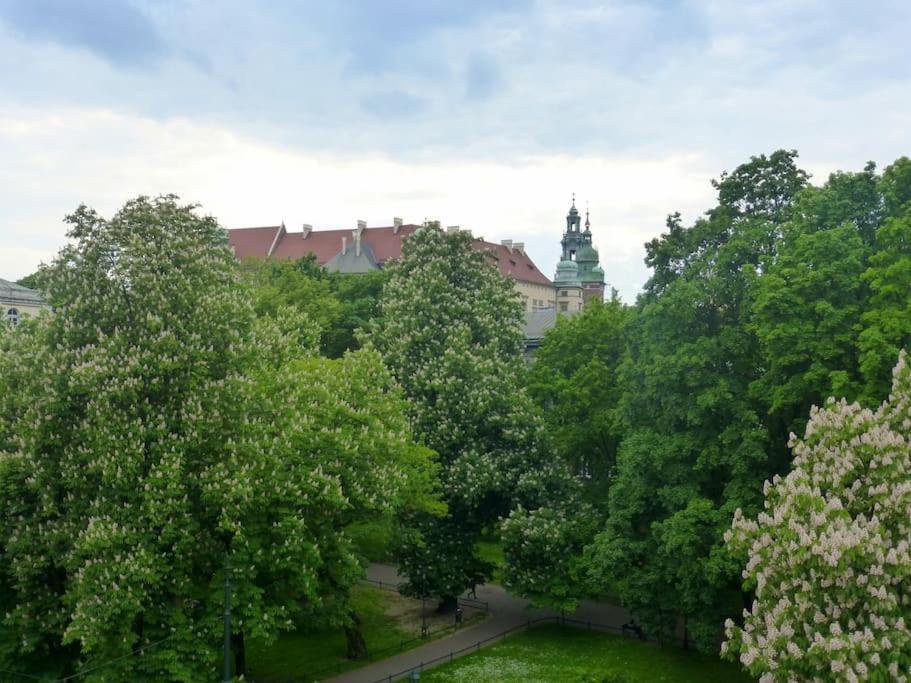 Apartament Gertrudy Belle Διαμέρισμα Krasków Δωμάτιο φωτογραφία